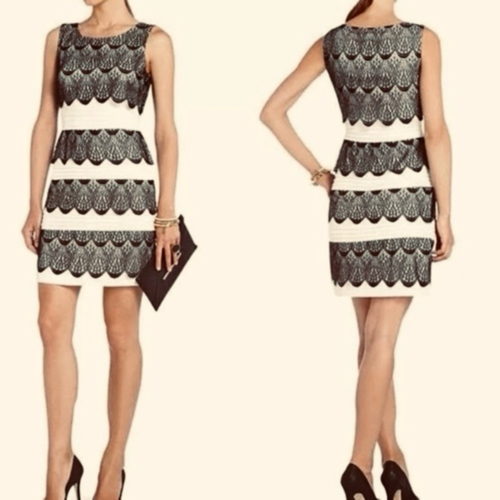 NWT BCBG Maxazria Lorenna Dress in Blush